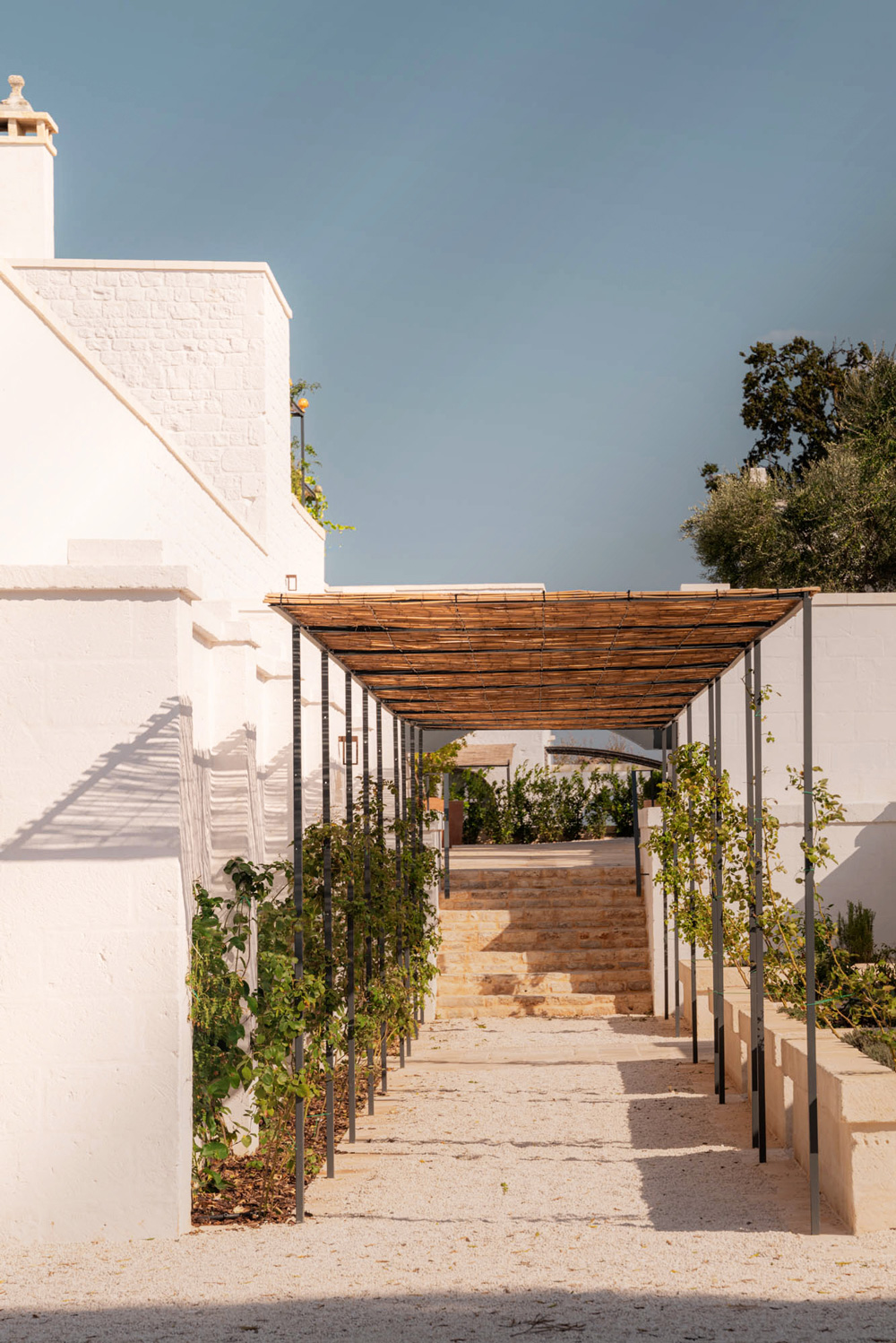 Masseria Auraterrae