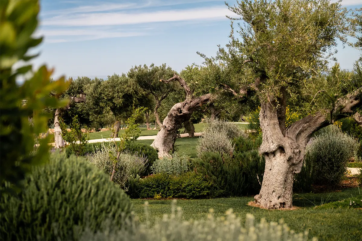 Masseria