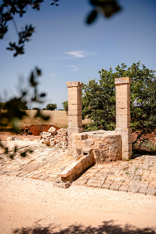 Masseria Auraterrae