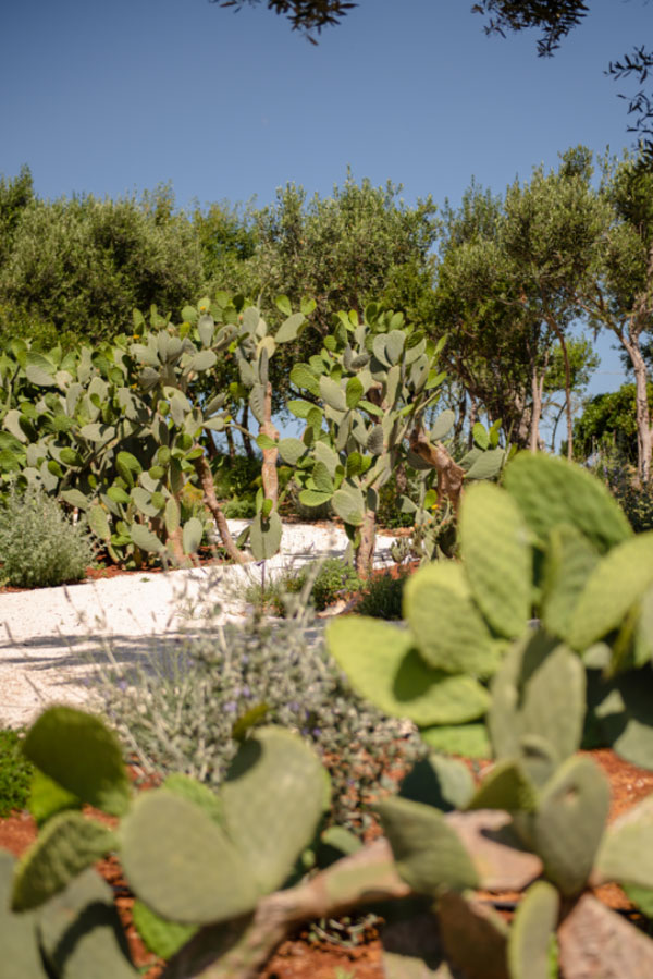 Masseria Auraterrae Esperienze